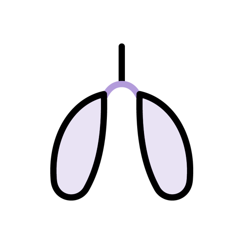 Pneumologia