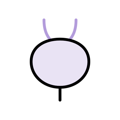 Urologia